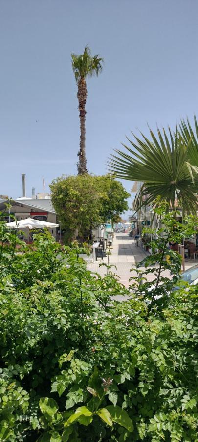 Sweetmar Guestrooms-Ground Floor Kos-Stadt Exterior foto